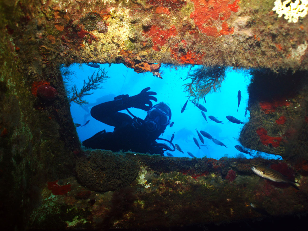Wreck Diver