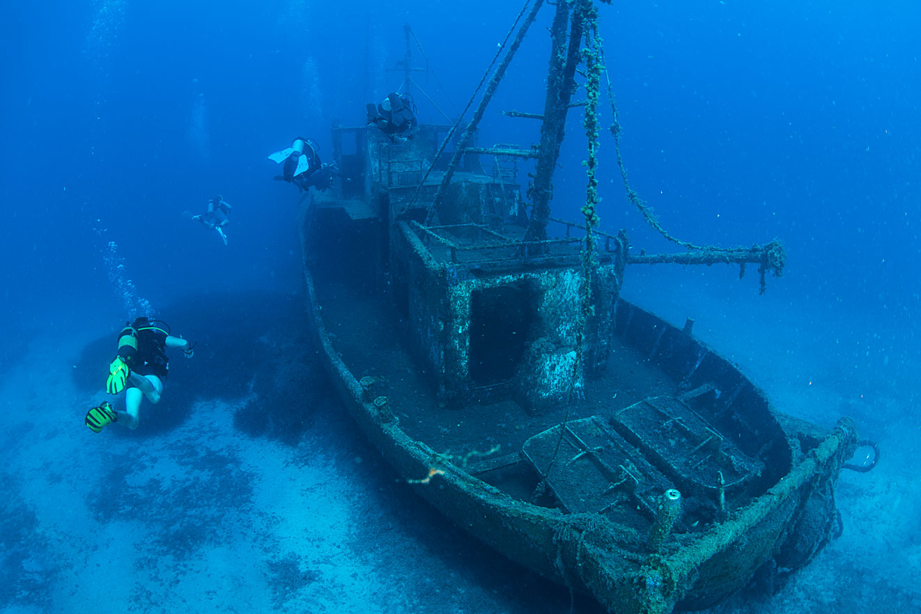 Gallery – Discover Underwater Cyprus